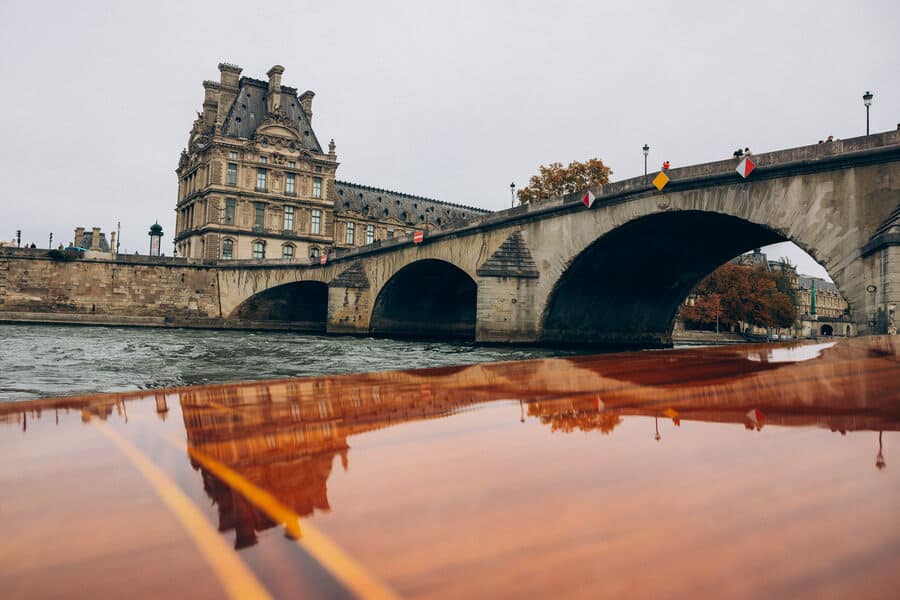 damoisel culture and art